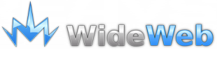Wide Web Logo